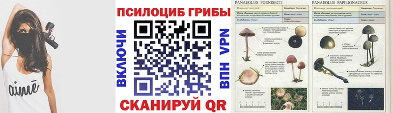 мега ссылка  Севск  Галлюциногенные грибы мухоморы 